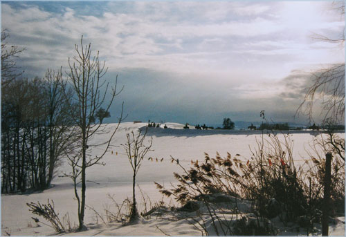 Im Winter enthlt die Luft wenig Feuchtigkeit.