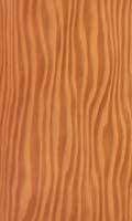 Oregon Pine